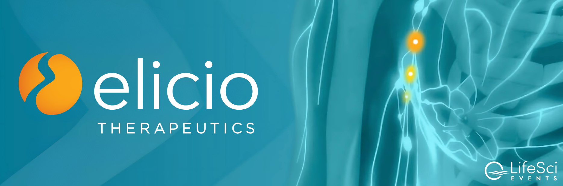 Elicio Banner Elicio Banner