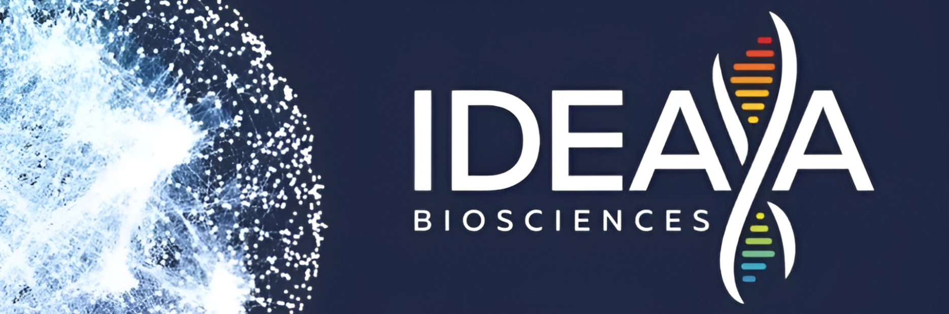 Ideaya Banner