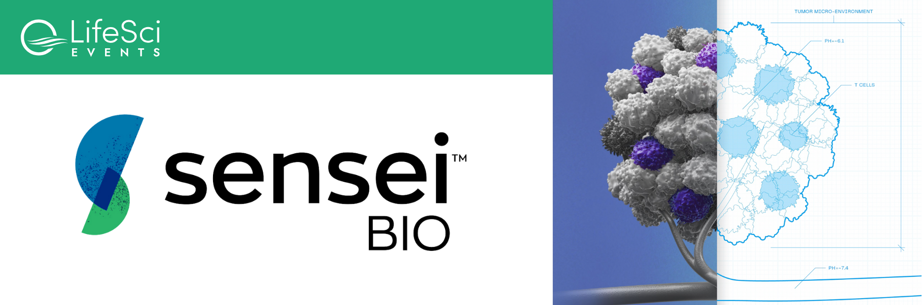 Sensei-Bio-Banner