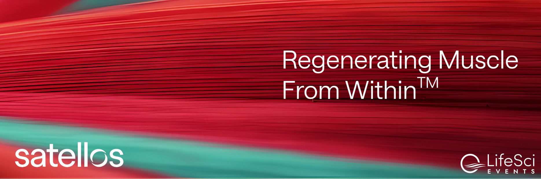 Satellos Banner (1)