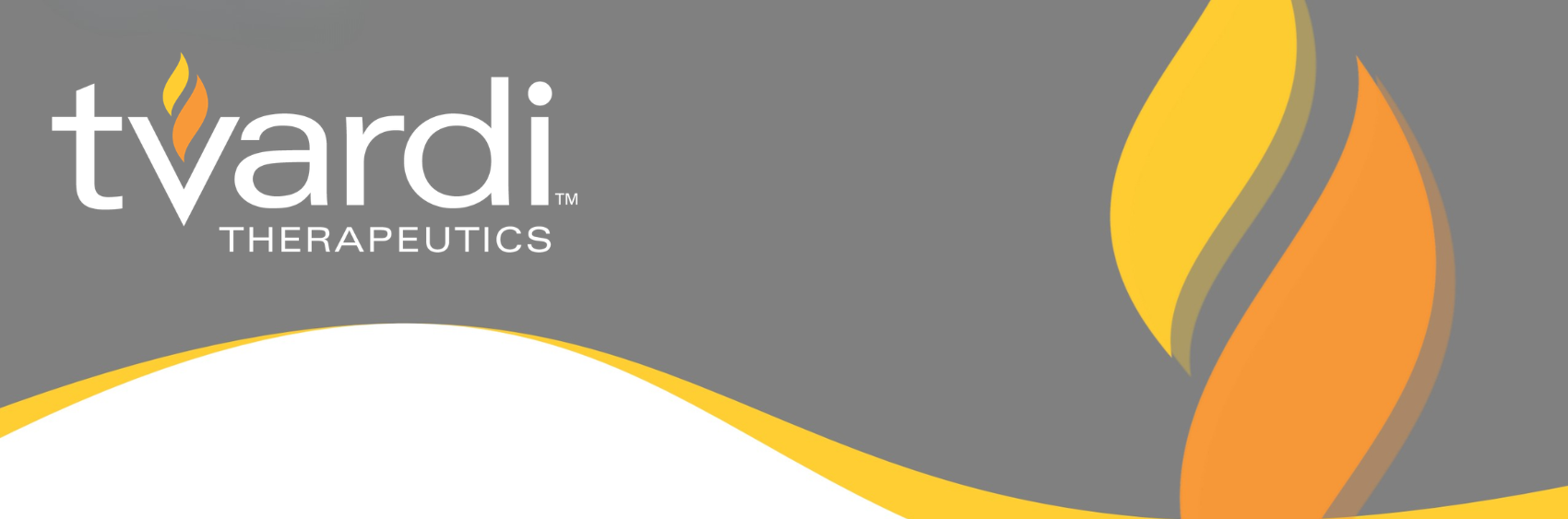 Tvardi-Banner-1